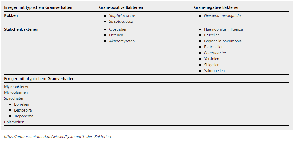 Abbildung Tabelle